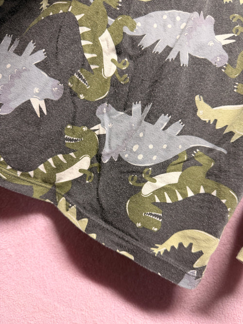 Bonds Dino Pyjama Set – Size 4
